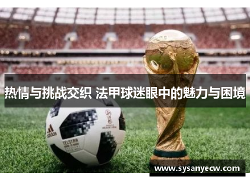 热情与挑战交织 法甲球迷眼中的魅力与困境 热情与挑战交织 法甲球迷眼中的魅力与困境