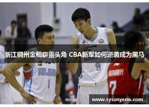 浙江稠州金租崭露头角 CBA新军如何逆袭成为黑马